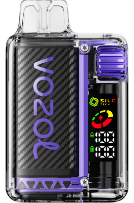 Vozol Vape Cape Town - VOZOL VISTA 16000/20000 GRAPE ICE 68R6VZ5