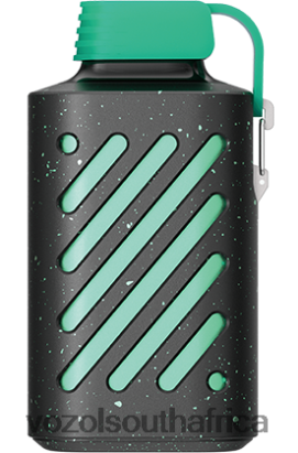 Vozol Vape South Africa - VOZOL GEAR 10000 WATERMELON BUBBLE GUM 68R6VZ313
