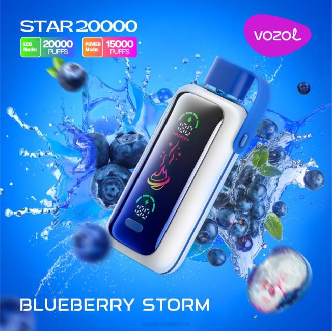 VOZOL Vape Cape Town - VOZOL STAR 20000 BLUEBERRY STORM F48P5