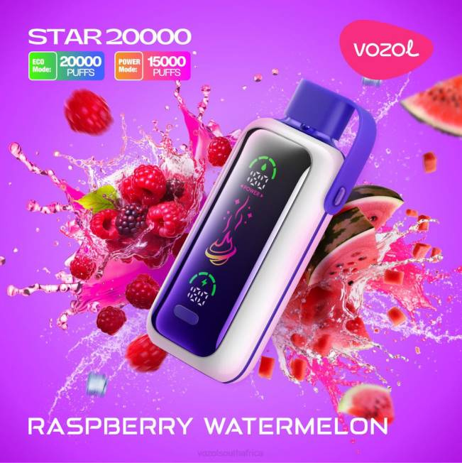 VOZOL Vape Shop - VOZOL STAR 20000 RASPBERRY WATERMELON F48P19